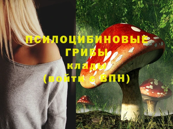 дживик Арсеньев