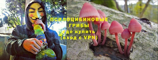 дживик Арсеньев