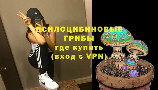 дживик Арсеньев